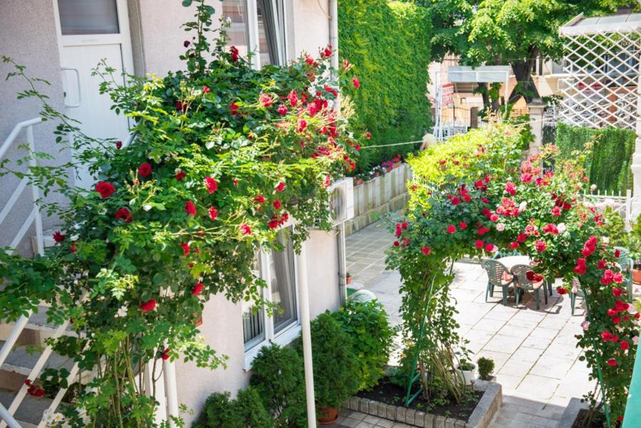 Hotel Relax Varna ภายนอก รูปภาพ